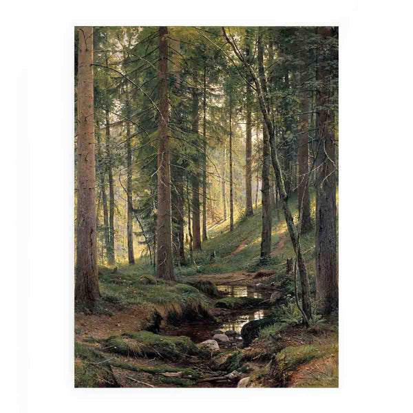Stream in the Forest (On the Hillside)