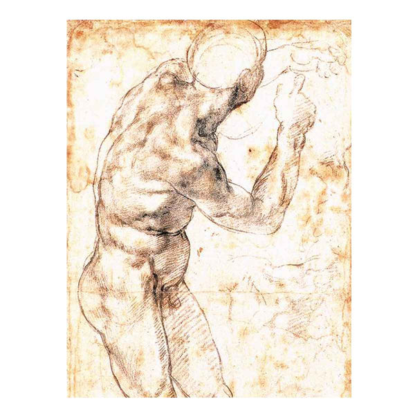 Male Nude 1504-06