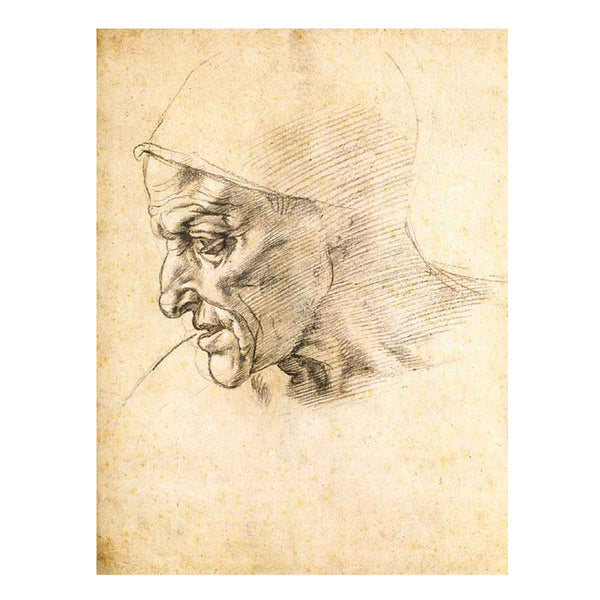 Study for the Head of the Cumeaen Sibyl (recto)