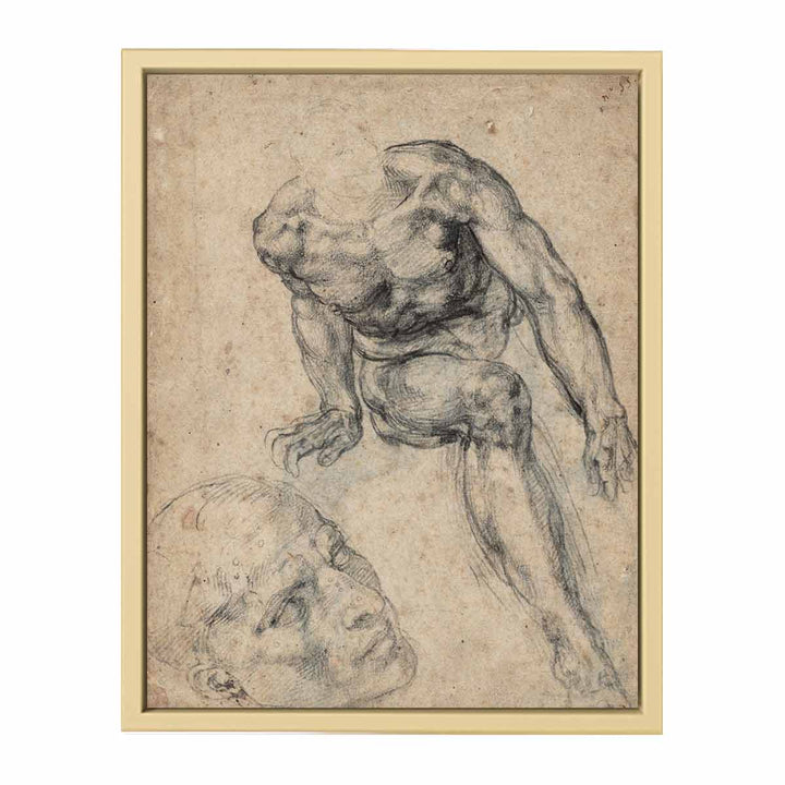 Study of a Male Nude (recto)