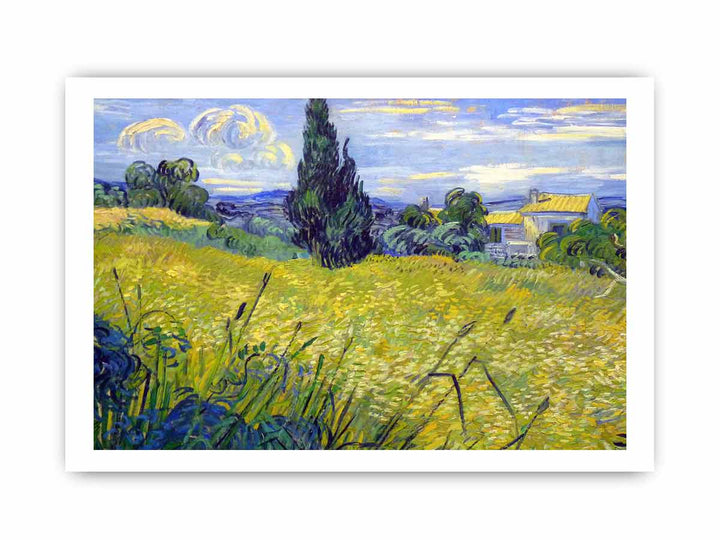 Green Field By Van Gogh