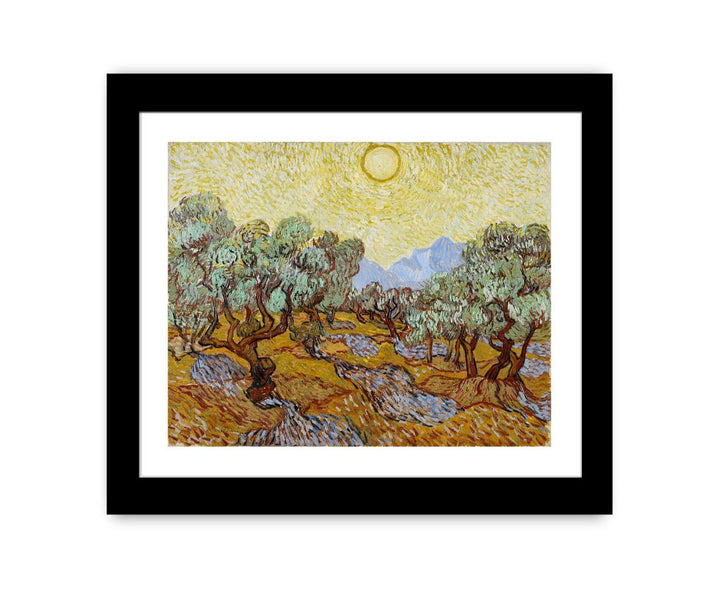 Olive Trees / Olive Trees with yellow sky and sun