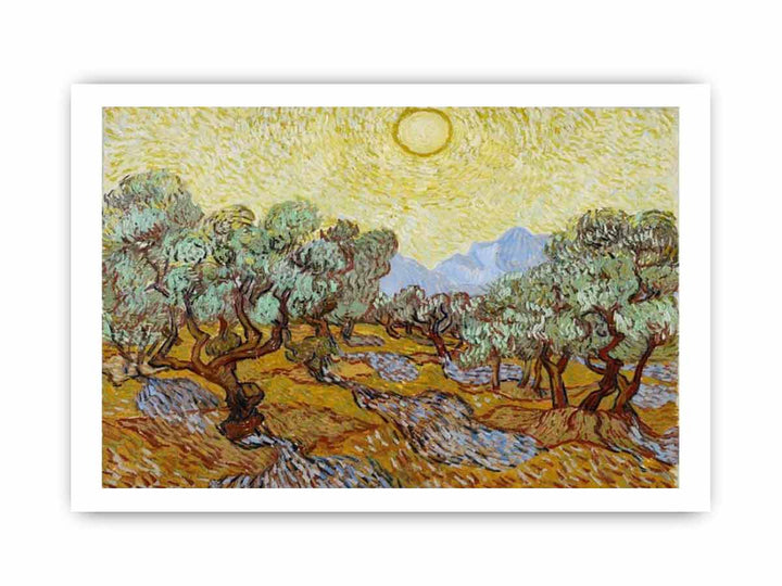 Olive Trees / Olive Trees with yellow sky and sun