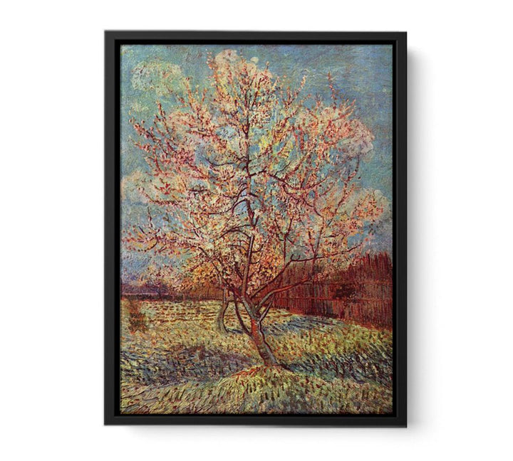 Peach Tree in Blossom / Flowering Peach Tree  canvas Print