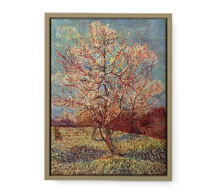 Peach Tree in Blossom / Flowering Peach Tree framed Print