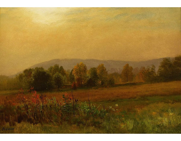 New England Landscape