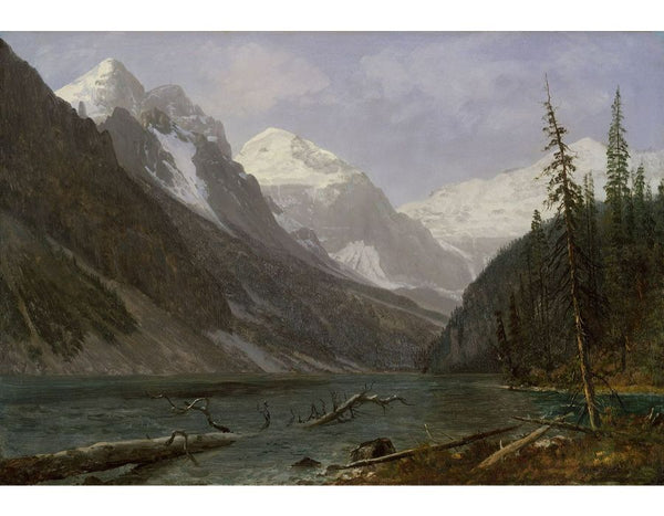 Canadian Rockies (Lake Louise) 1889