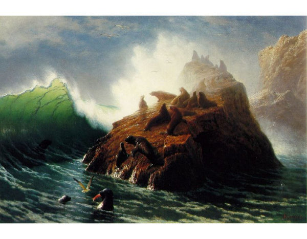 Seal Rock 1872