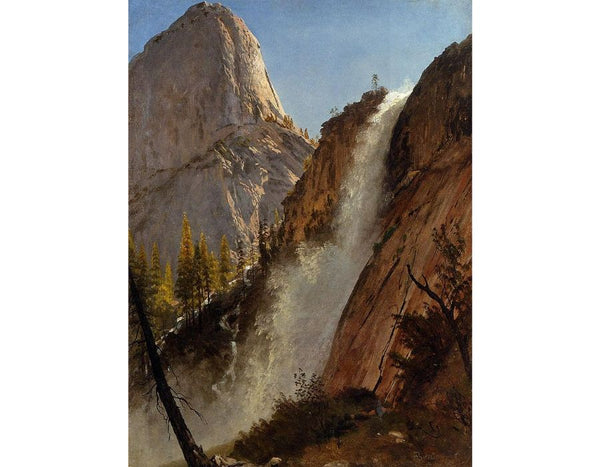 Liberty Cam Yosemite