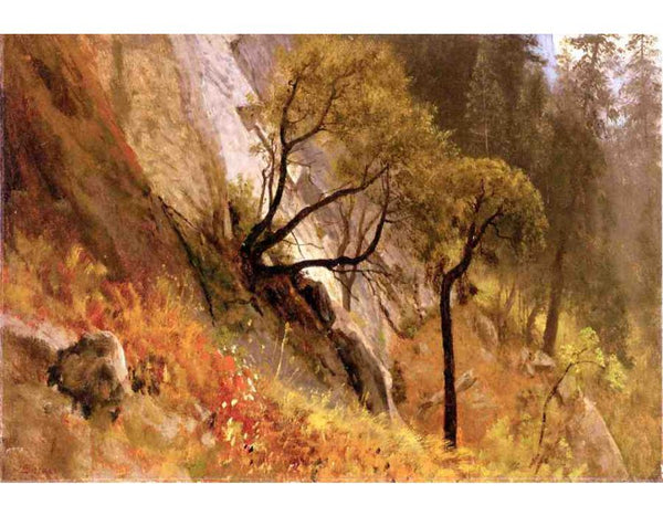 Landscape Study: Yosemite, California