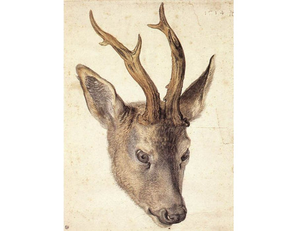 Head of a Stag 2
