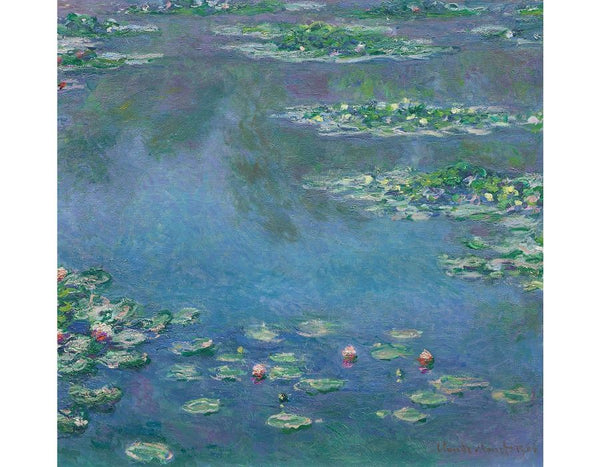 Water Lilies 