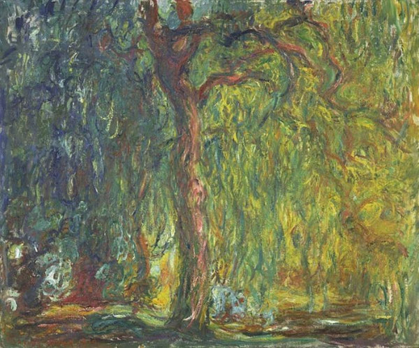 Weeping Willow7 