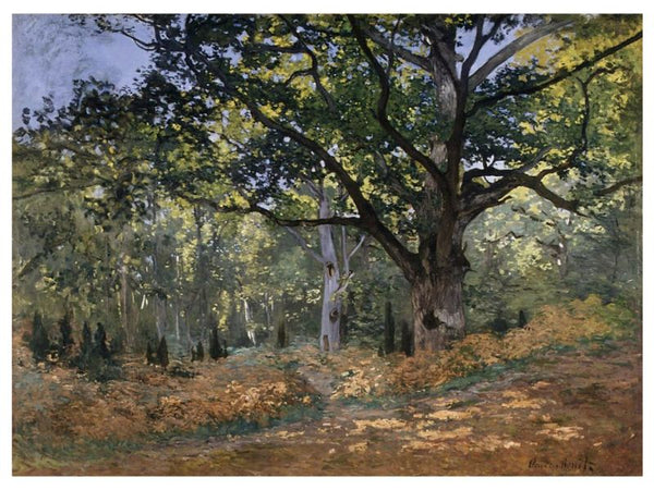 The Bodmer Oak Fontainebleau 