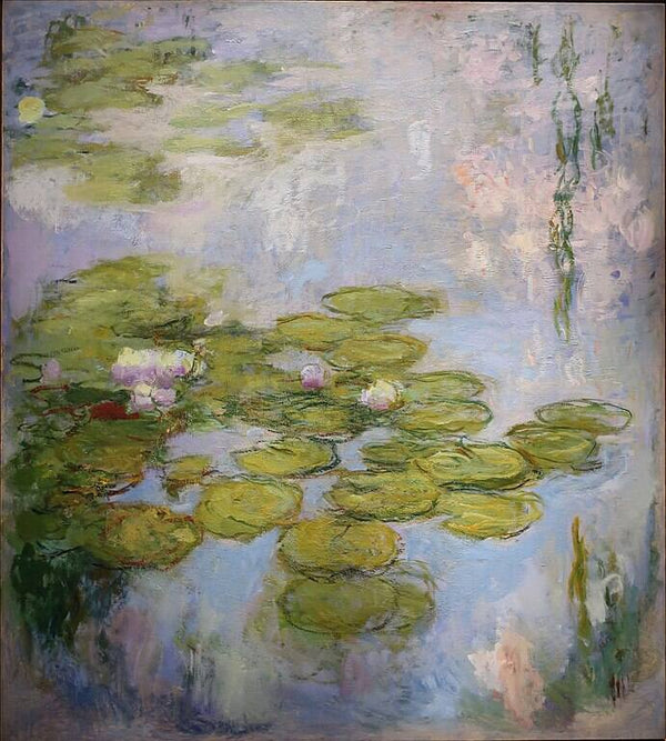 Water Lilies13 
