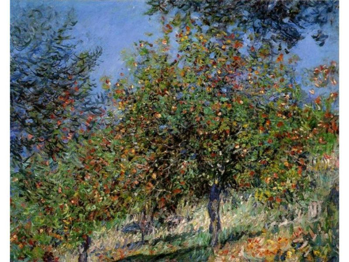 Apple Trees On The Chantemesle Hill 