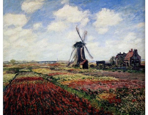 Tulip Fields With The Rijnsburg Windmill 