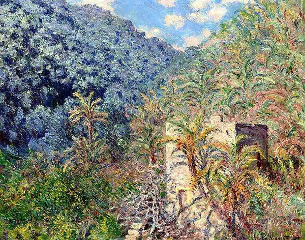 Oliviers et palmiers, vallee de Sasso 