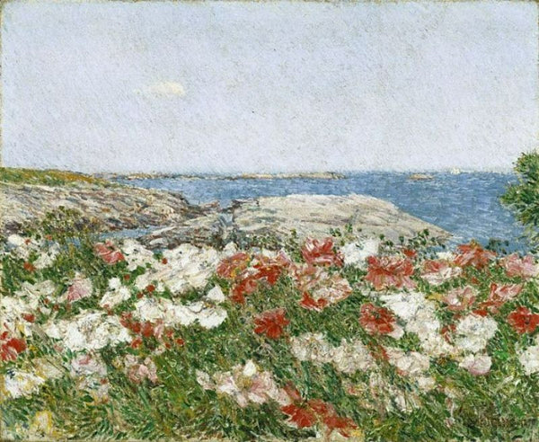 Poppies on the Isles of Shoals 