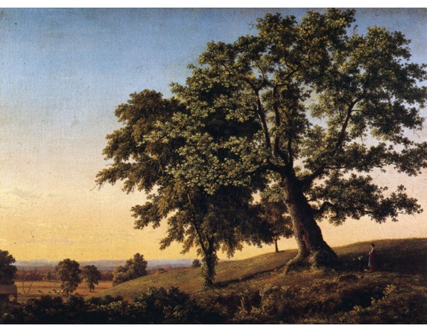 The Charter Oak 