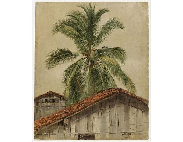Palm Trees and Housetops, Ecuador 