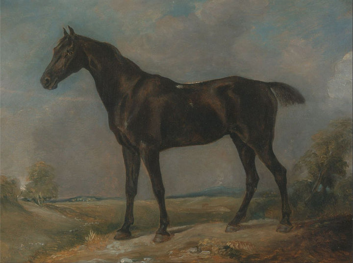 Golding Constable's Black Riding-Horse, c.1805-10 Painting by John Constable
