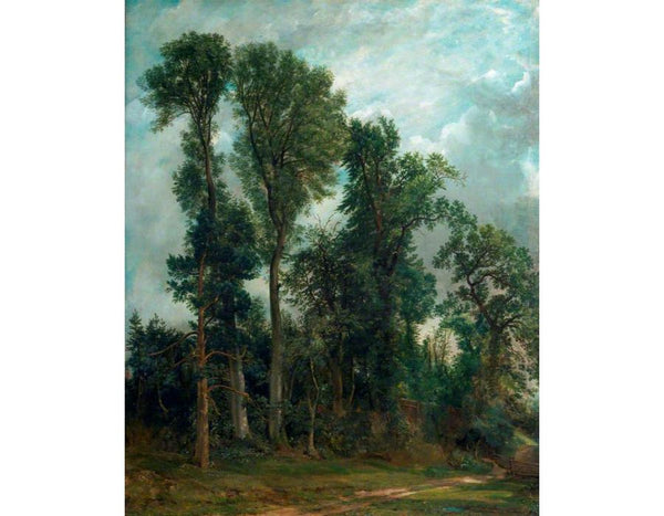 Trees at Hampstead Painting by John Constable