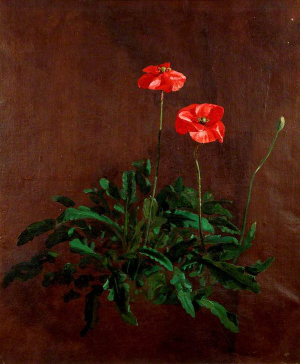 Studies of poppies Painting by John Constable