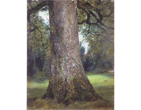 Study of the Trunk of an Elm Tree, c.1821 Painting by John Constable