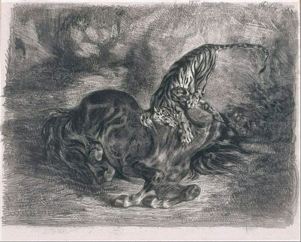 Cheval sauvage terrasse par un Tigre