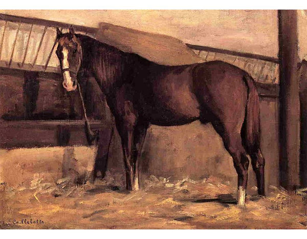 Yerres Reddish Bay Horse In The Stable