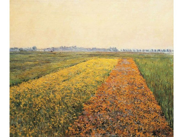 The Yellow Fields At Gennevilliers