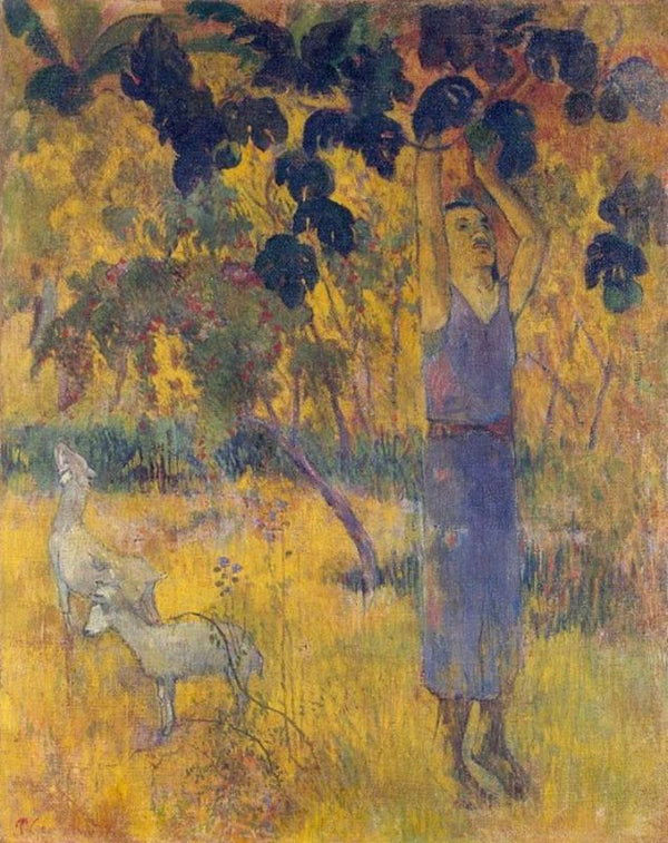 Man Picking Fruit from a Tree 