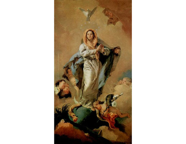 The Immaculate Conception
