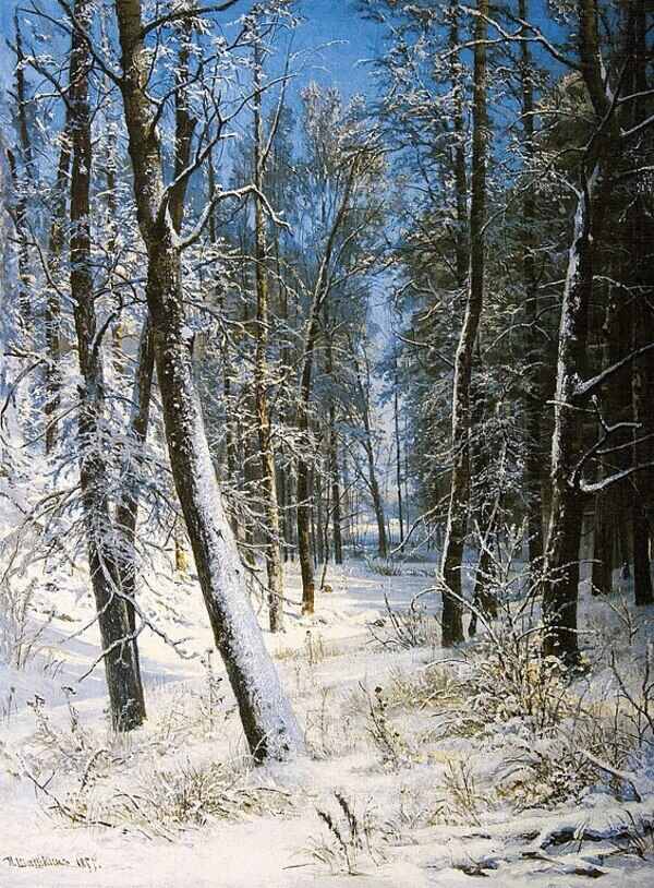 Winter in a forest (Rime)