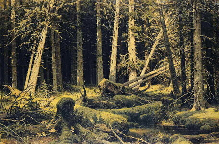 Wind Fallen Trees 1888 Painting 