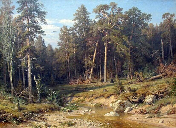Pine Forest In Viatka Province 1872 Painting 