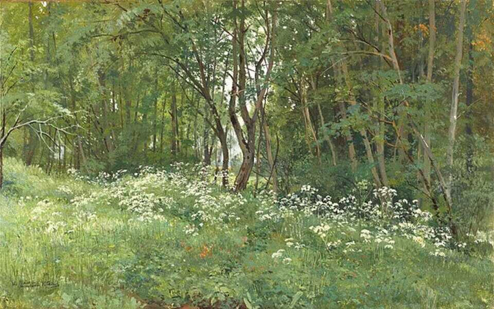 Flowers on the forest edge