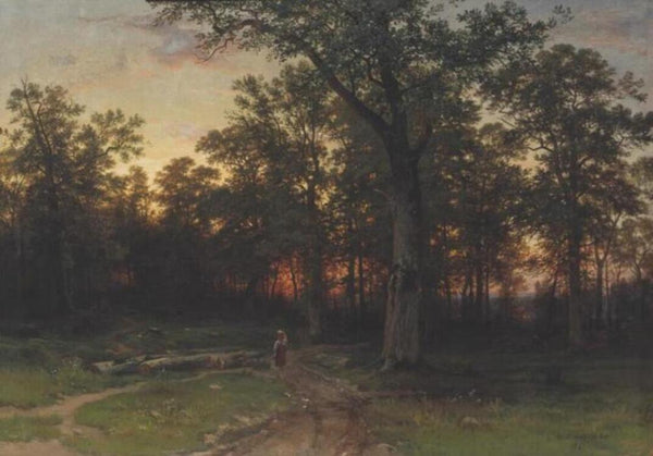Wood in the evening
