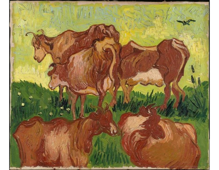Five studies of cows 