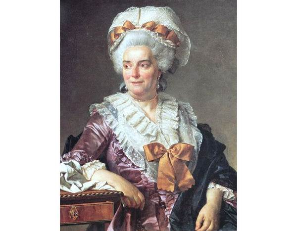 Portrait of Madame Charles-Pierre Pecoul, nee Potain, mother-in-law of the artist Painting by Jacques Louis David