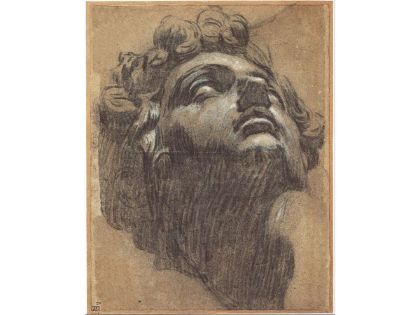 Study Of The Head Of Giuliano De' Medici, After Michelangelo 