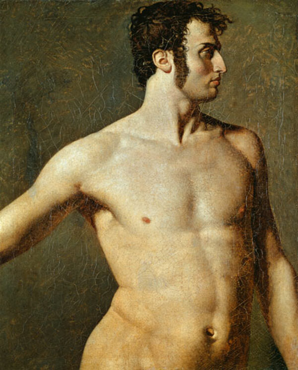 Male torso 2 
