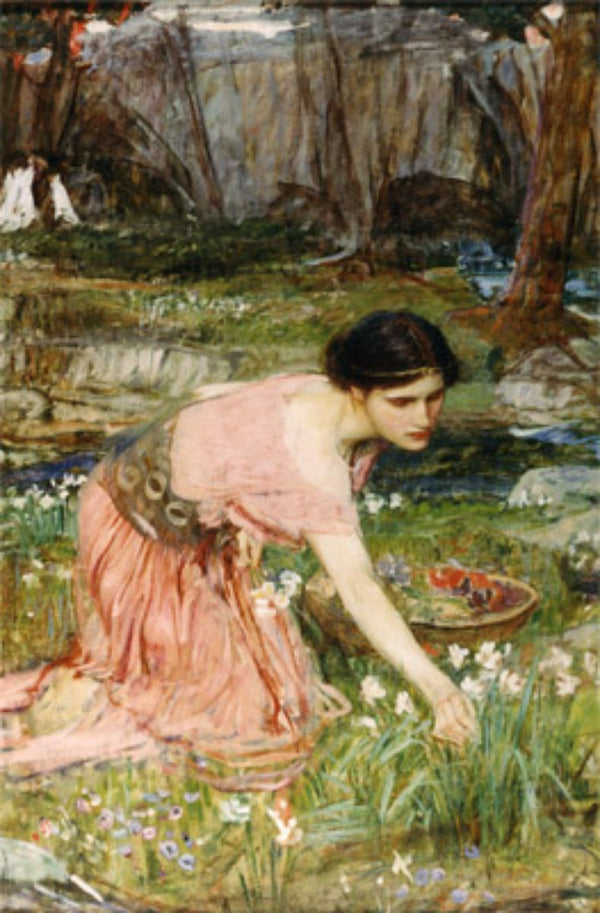 Flora 1890 