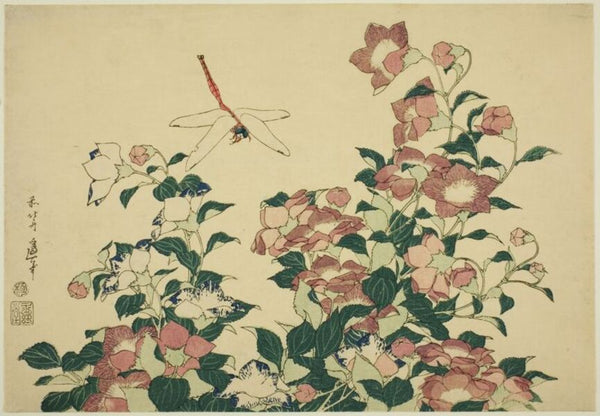 Bell-Flower and Dragonfly 