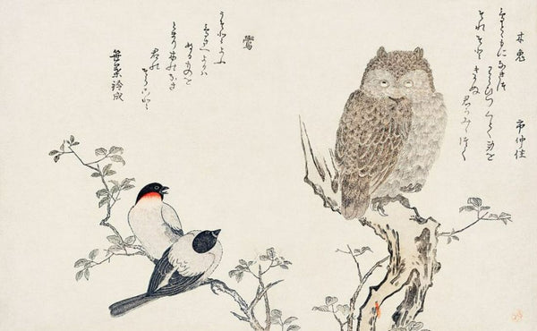 An Owl and two Eastern Bullfinches, from an album Birds compared in Humorous Songs, Contest of Poetry of the 100 and 1000 birds, 1791 