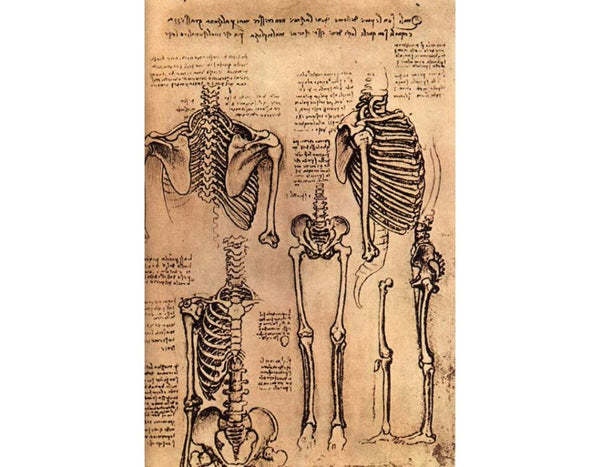 skeletons 