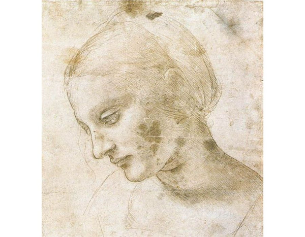 Study of a woman's head 