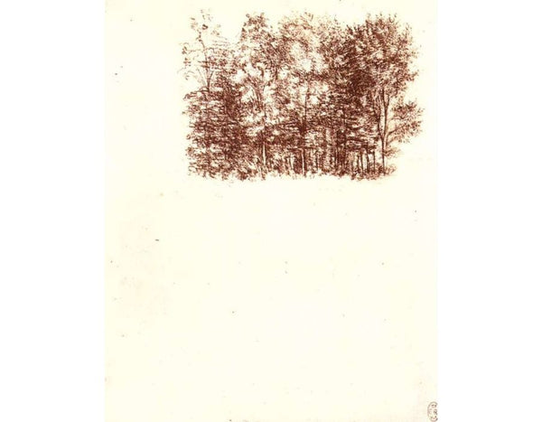 Birch copse c. 1500 