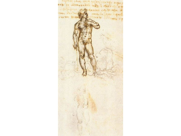 Study of David by Michelangelo 